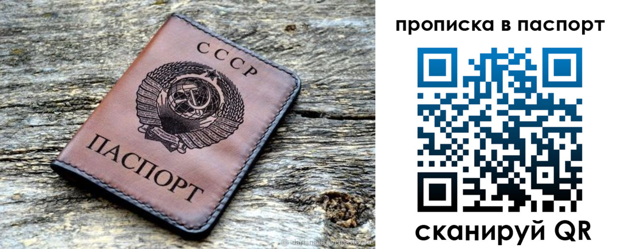 прописка ребенка в Славгороде